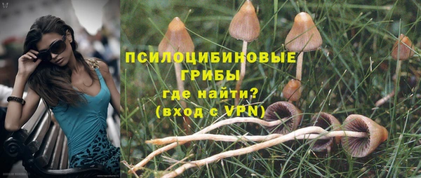 гидропоника Армянск