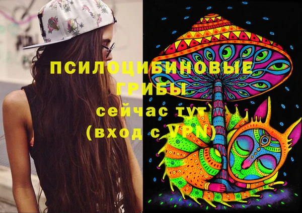 прущая мука Аркадак